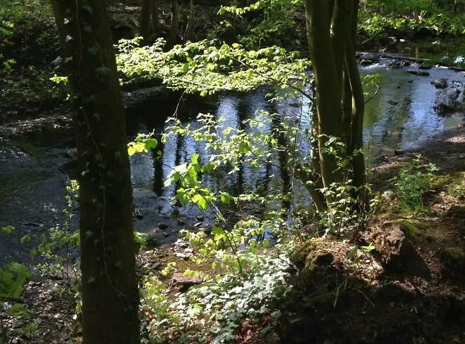 Haus Presse * Walkenried